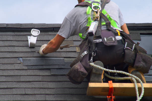 Best Residential Vinyl Siding Installation  in Roy, UT