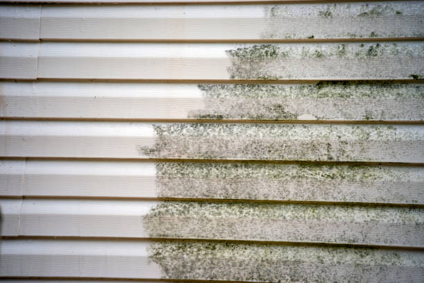 Siding for Multi-Family Homes in Roy, UT