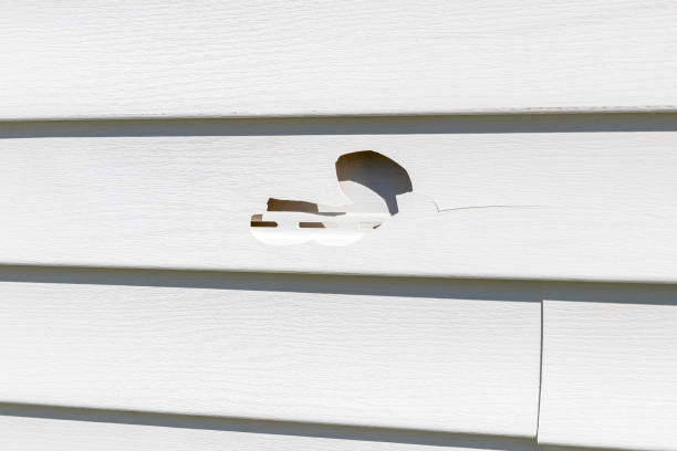 Best Siding Removal and Disposal  in Roy, UT