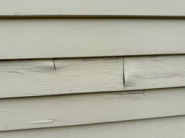 Best Fascia and Soffit Installation  in Roy, UT